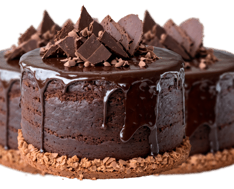 attachment-https://honeycastle.co.in/wp-content/uploads/2013/06/web-banner-slider-1-458x370.png