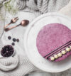 attachment-https://honeycastle.co.in/wp-content/uploads/2025/04/BlueberryCake2-100x107.jpg