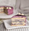 attachment-https://honeycastle.co.in/wp-content/uploads/2025/04/BlueberryCake4-100x107.jpg