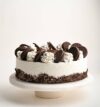 attachment-https://honeycastle.co.in/wp-content/uploads/2025/04/oreo-chocolate-cake-3-100x107.jpg