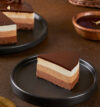 attachment-https://honeycastle.co.in/wp-content/uploads/2025/04/trippy-trio-cake-cake2858choc-EE-100x107.jpg