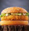 attachment-https://honeycastle.co.in/wp-content/uploads/2025/05/Aloo-tikki-burger-1-100x107.jpg