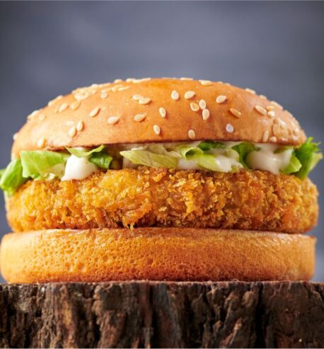 attachment-https://honeycastle.co.in/wp-content/uploads/2025/05/Aloo-tikki-burger-1-458x493.jpg