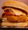attachment-https://honeycastle.co.in/wp-content/uploads/2025/05/Hot-spicy-paneer-burger-100x107.jpg