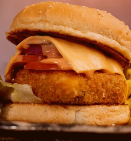 attachment-https://honeycastle.co.in/wp-content/uploads/2025/05/Hot-spicy-paneer-burger-458x493.jpg