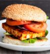 attachment-https://honeycastle.co.in/wp-content/uploads/2025/05/paneer-burger-2-100x107.jpg
