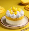 https://honeycastle.co.in/wp-content/uploads/2025/07/mango-delight-bento-cake-bento4689manc-100x107.jpg