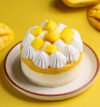 https://honeycastle.co.in/wp-content/uploads/2025/07/mango-delight-bento-cake-bento4689mang-a-100x107.jpg