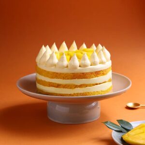 Juicy Mango Delight Cake