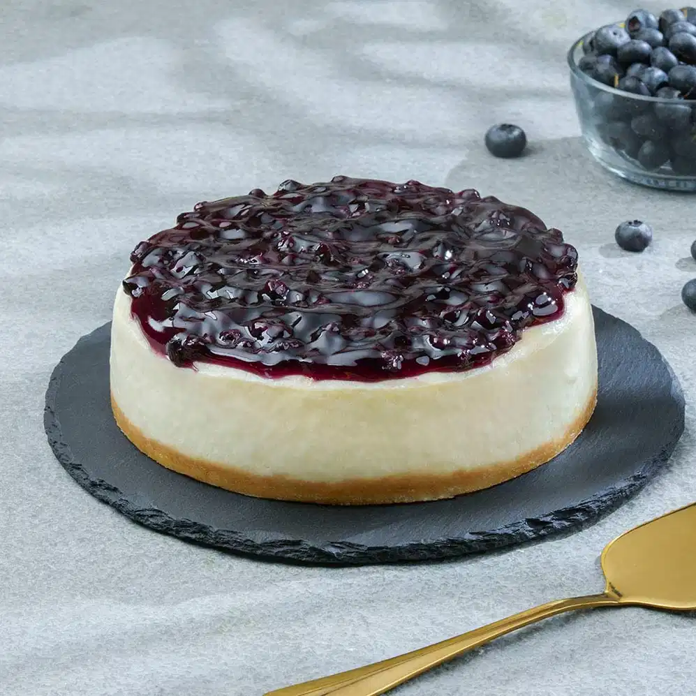 viscous-blueberry-cheesecake-cake2859blue-BB_0